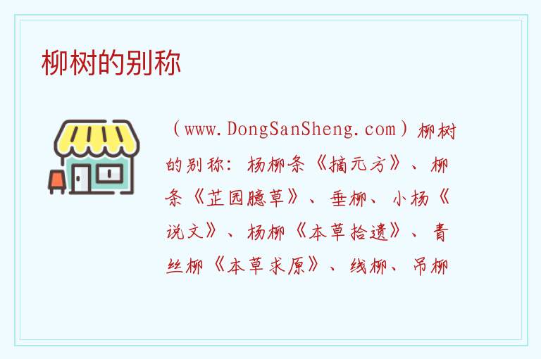 柳树别称雅称，柳树别称雅称
