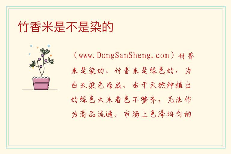 竹香米是不是染的 