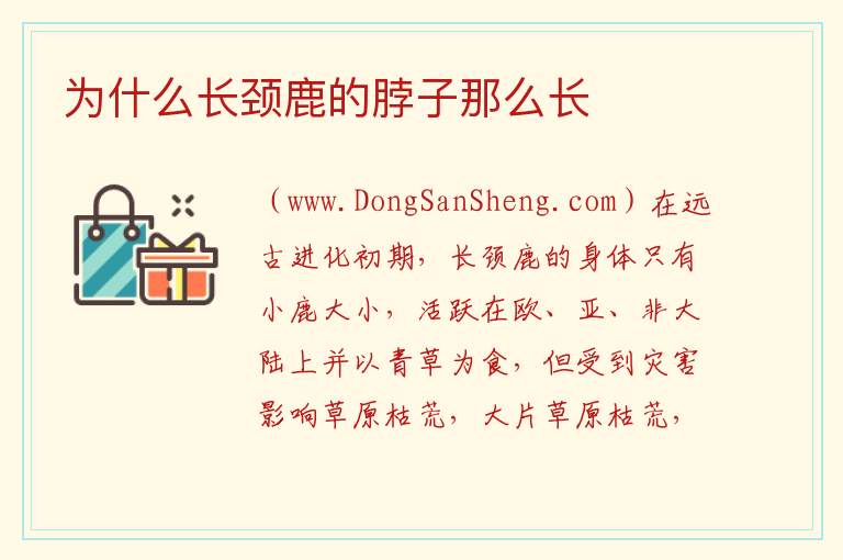 为什么长颈鹿的脖子那么长 