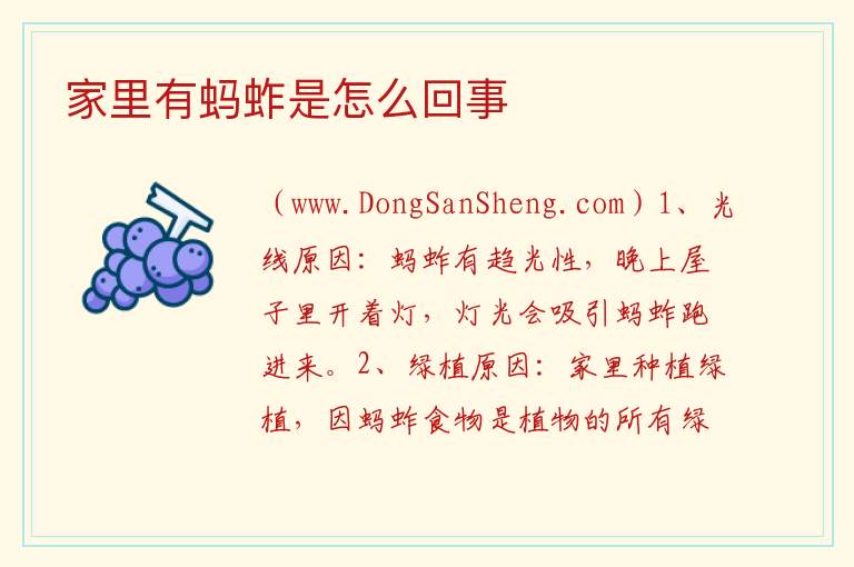 家里有蚂蚱是怎么回事 