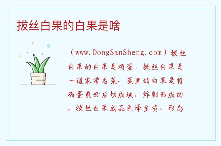 拔丝白果的白果是啥 