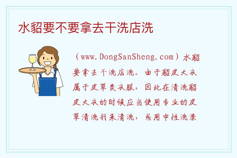 水貂要不要拿去干洗店洗 