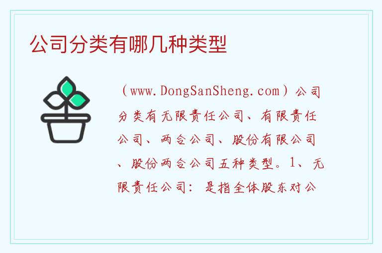 公司分类有哪几种类型 