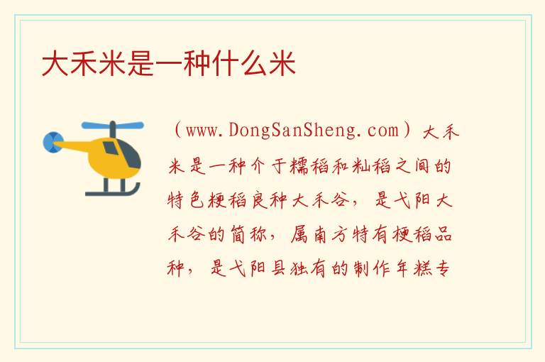 大禾米是一种什么米 