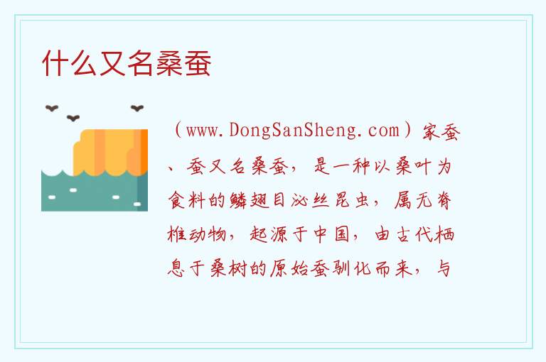 什么又名桑蚕 