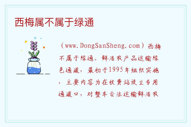 西梅属不属于绿通 