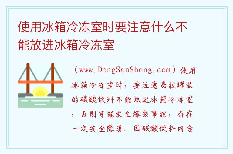 使用冰箱冷冻室时要注意什么不能放进冰箱冷冻室 