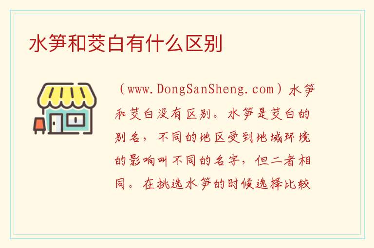 水笋和茭白有什么区别 