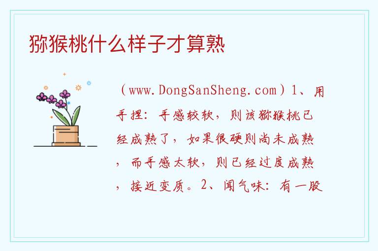 猕猴桃什么样子才算熟 