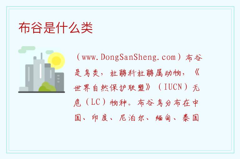 布谷是什么类 