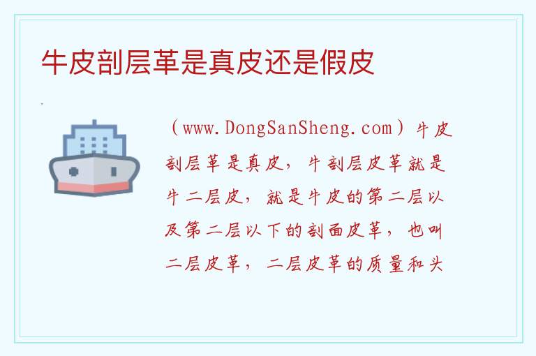 牛皮剖层革是真皮还是假皮 