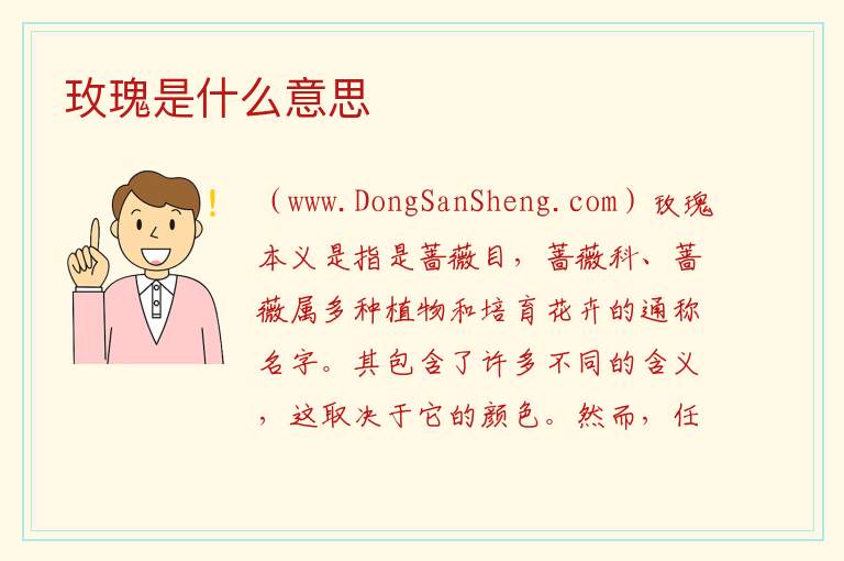 玫瑰是什么意思 