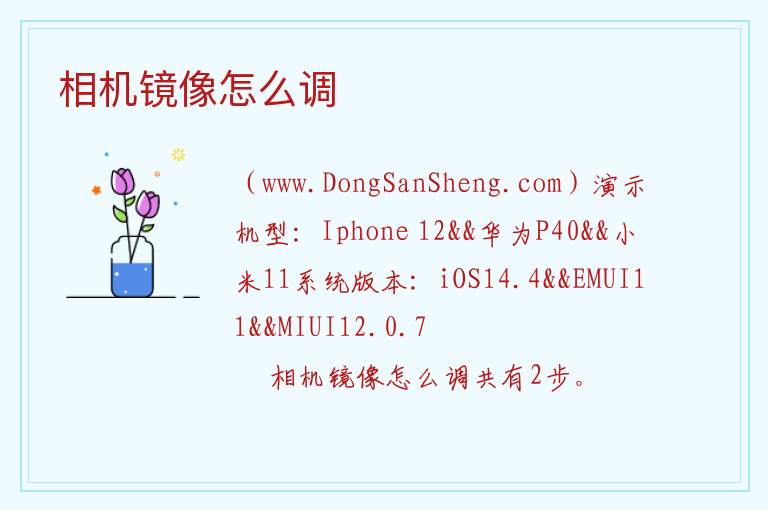 相机镜像怎么调 