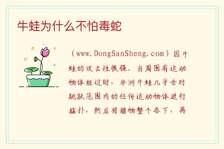 牛蛙为什么不怕毒蛇 