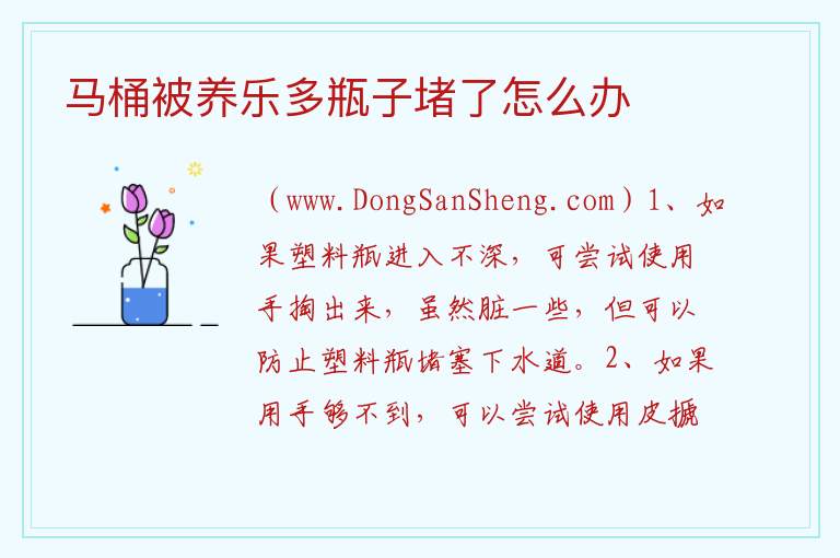 马桶被养乐多瓶子堵了怎么办 马桶被骨头堵住了怎么疏通