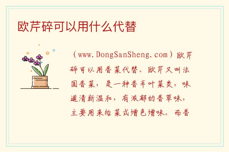 欧芹碎可以用什么代替 
