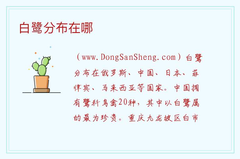 白鹭分布在哪 