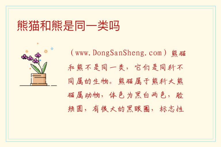 熊猫和熊是同一类吗 