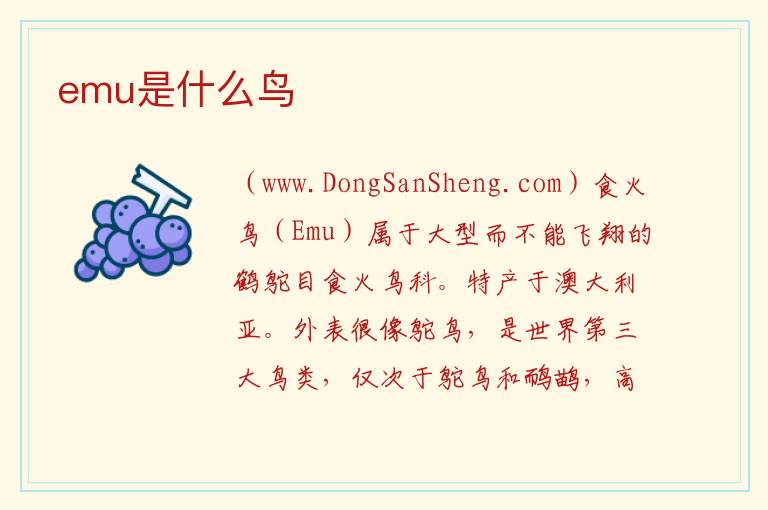 emu是什么鸟 