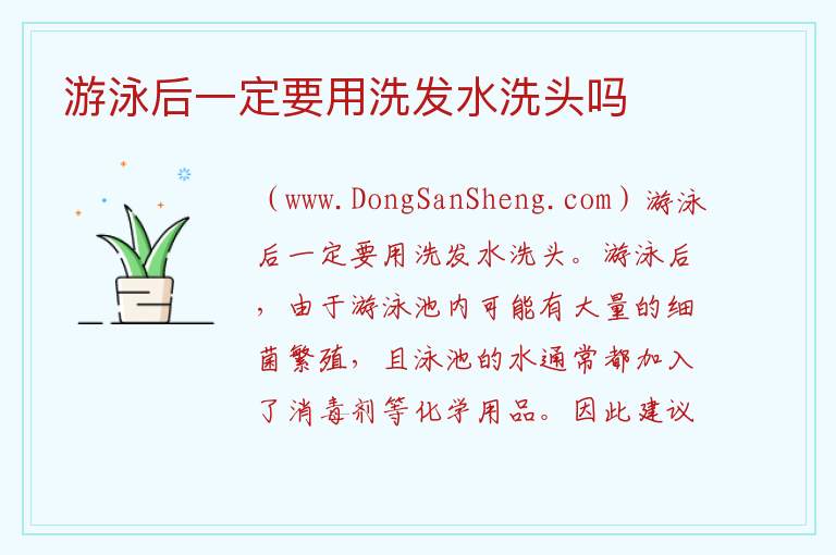 游泳后一定要用洗发水洗头吗 