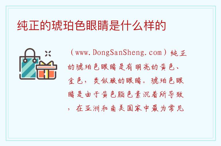 纯正的琥珀色眼睛是什么样的 