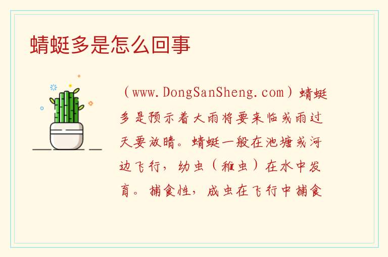 蜻蜓多是怎么回事 