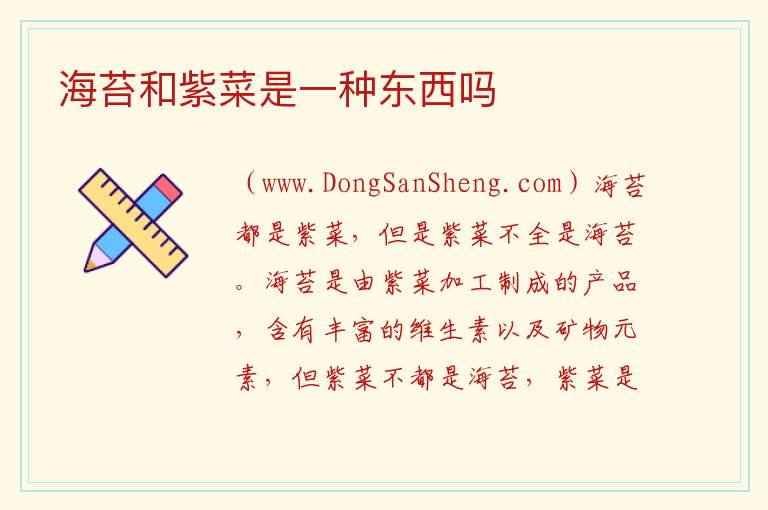 海苔和紫菜是一种东西吗 