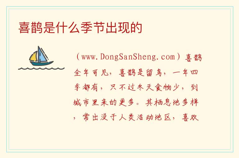 喜鹊是什么季节出现的 