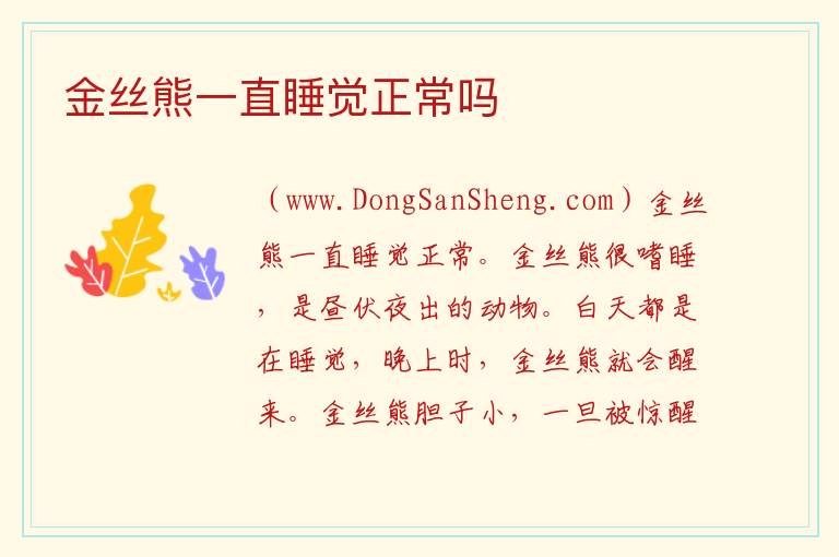 金丝熊一直睡觉正常吗 