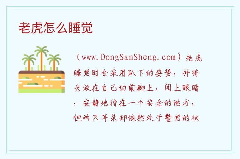 老虎怎么睡觉 