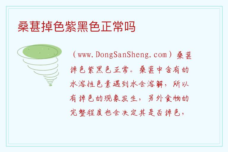 桑葚掉色紫黑色正常吗 