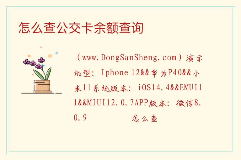怎么查公交卡余额查询 