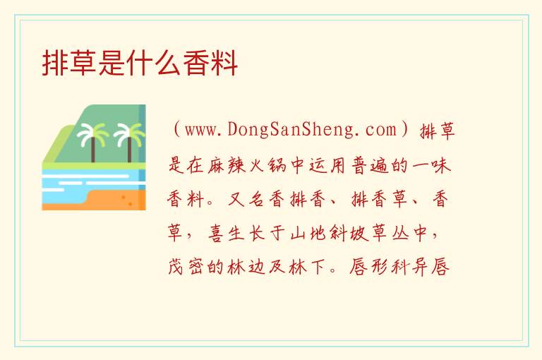 排草是什么香料 