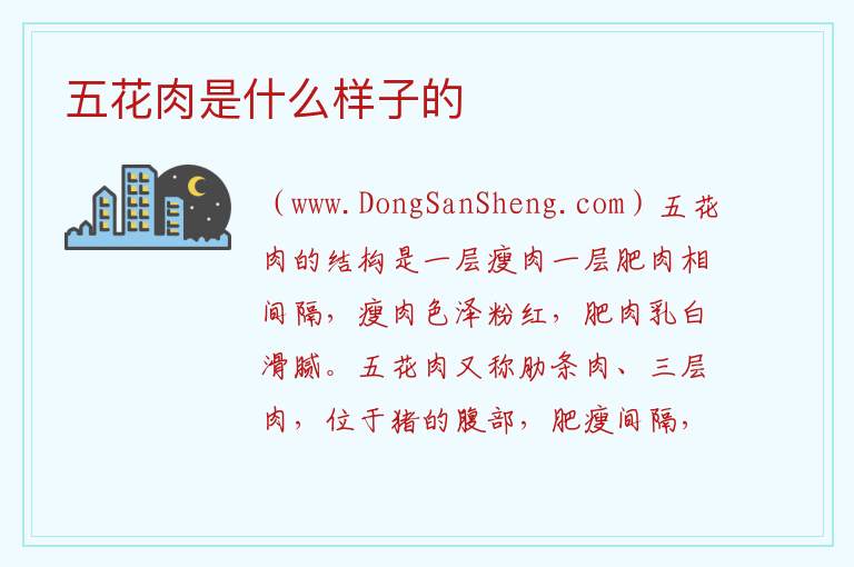 五花肉是什么样子的 