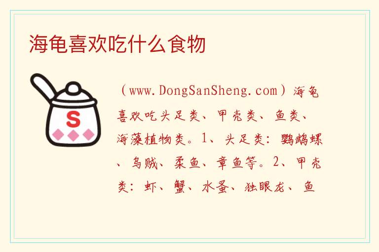 海龟喜欢吃什么食物 