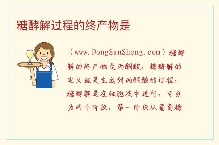 糖酵解过程的终产物是 