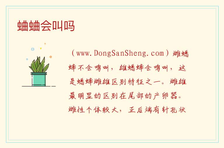 蛐蛐会叫吗 