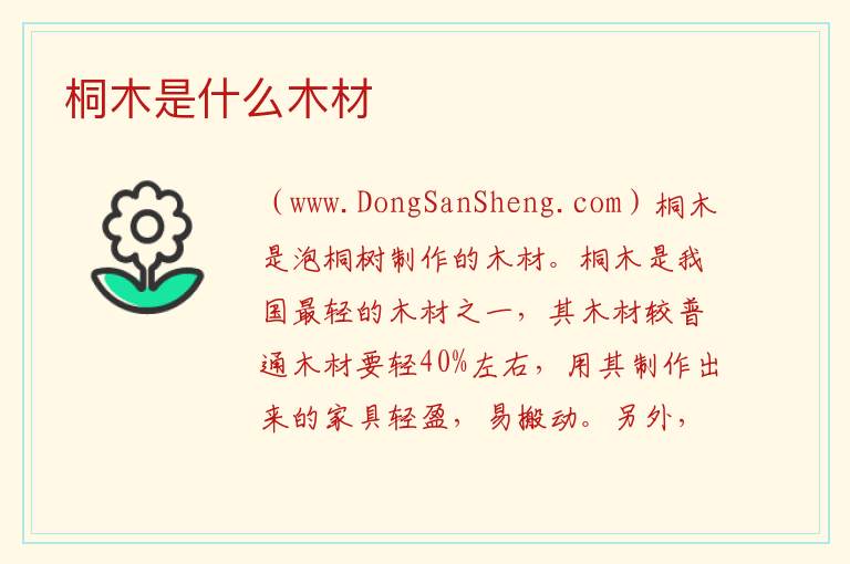 桐木是什么木材 