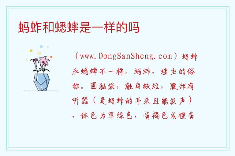 蚂蚱和蟋蟀是一样的吗 