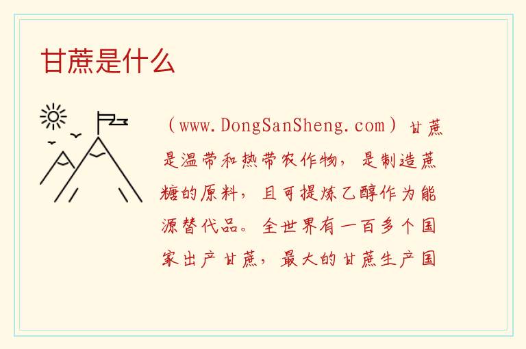甘蔗是什么 