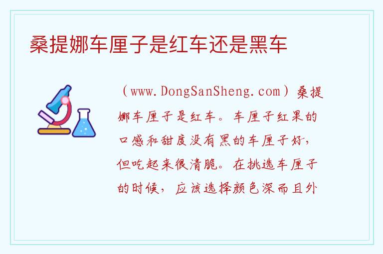 桑提娜车厘子是红车还是黑车 