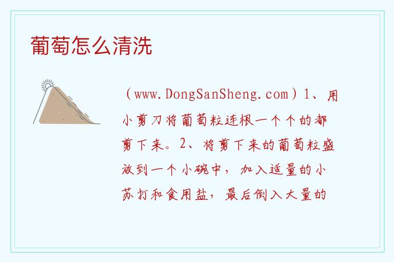 葡萄怎么清洗 