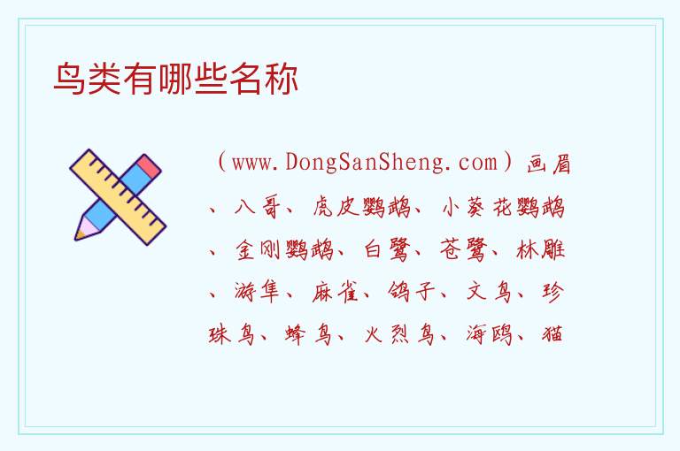 鸟类有哪些名称 