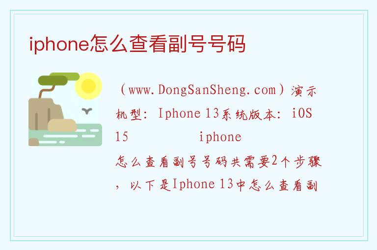 iphone怎么查看副号号码 