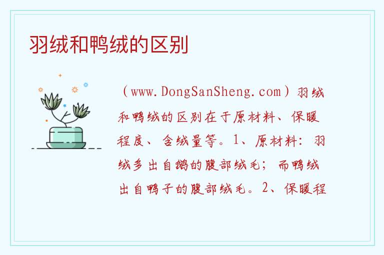 羽绒和鸭绒的区别 