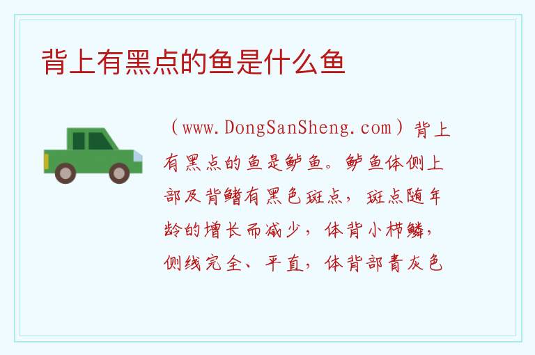 背上有黑点的鱼是什么鱼 