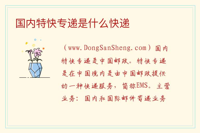 国内特快专递是什么快递 