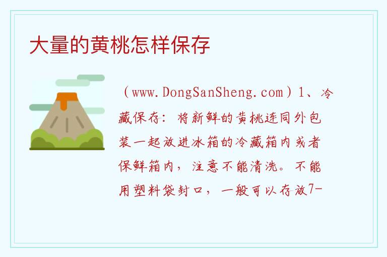 大量的黄桃怎样保存 
