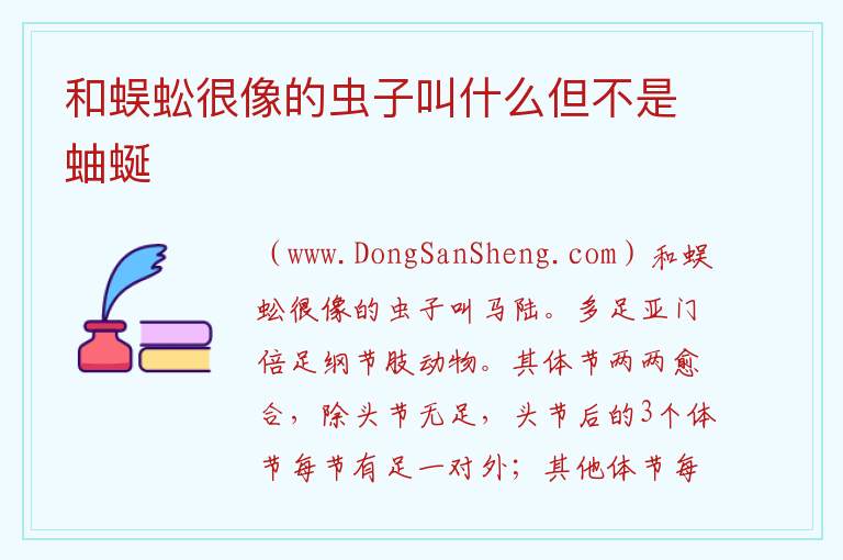 和蜈蚣很像的虫子叫什么但不是蚰蜒 