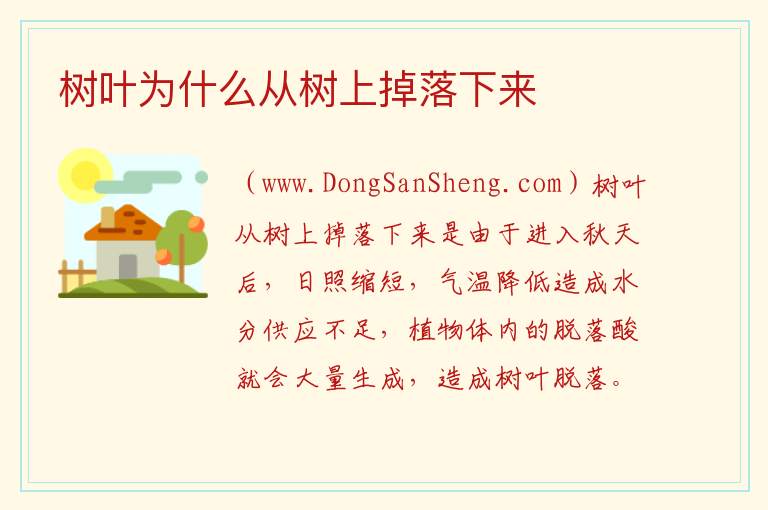树叶为什么从树上掉落下来 